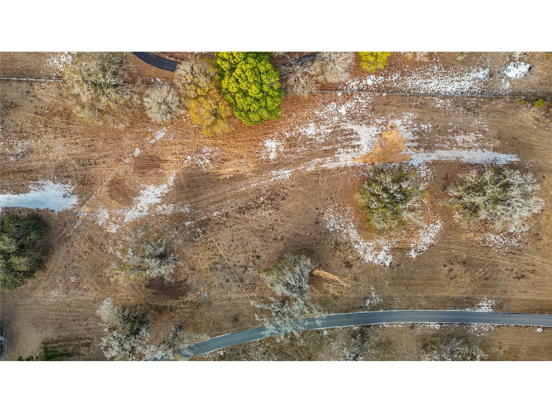 8804 Misty Morning Trail Odessa FL 33556 TB8478012 image45