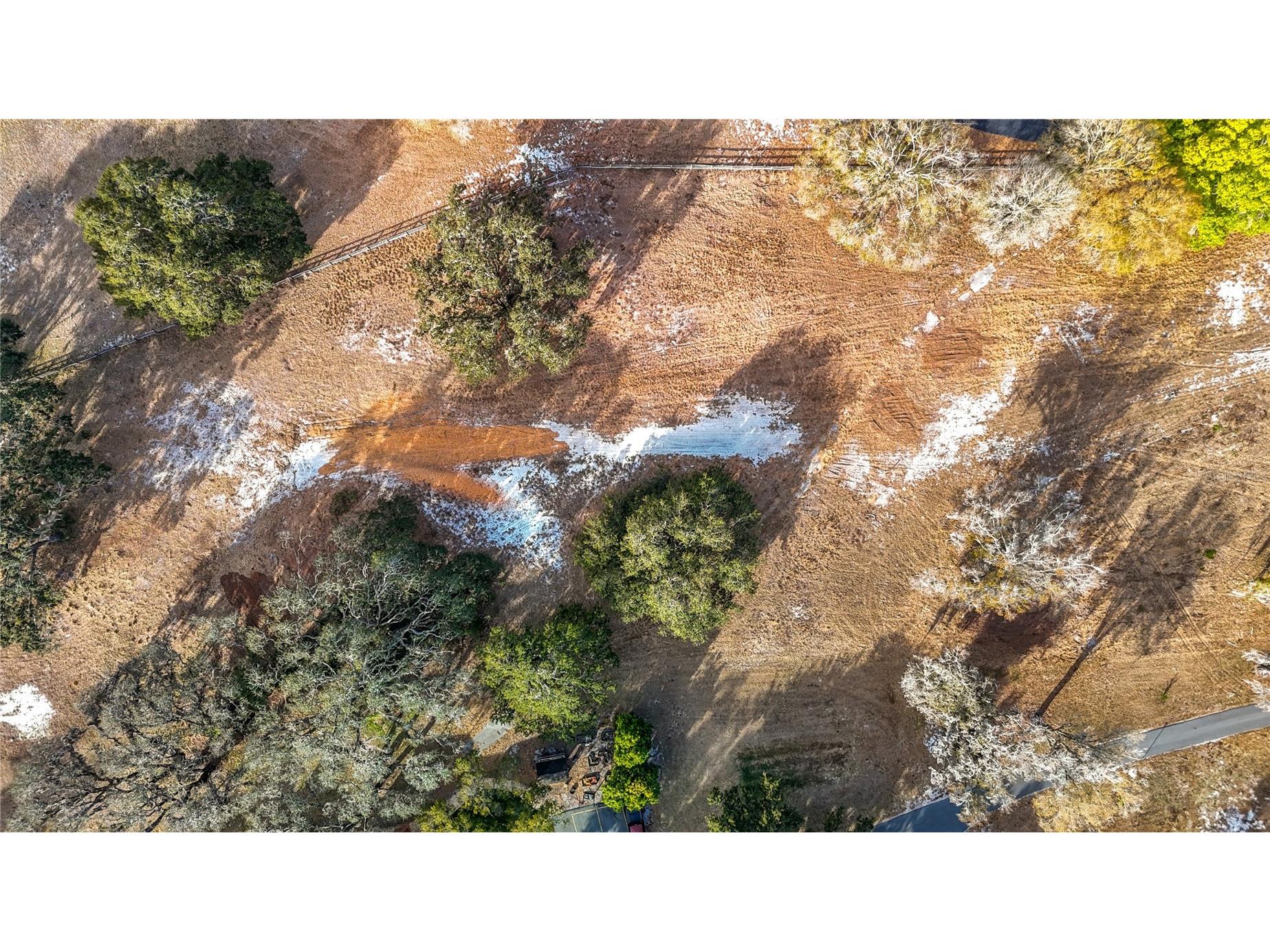 8804 Misty Morning Trail Odessa FL 33556 TB8478012 image48