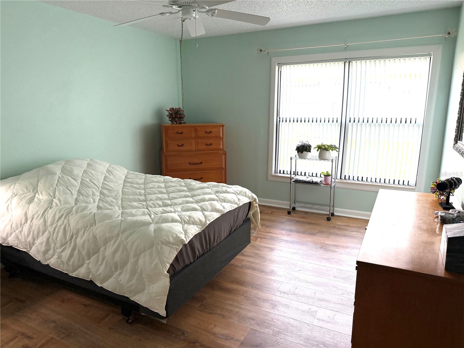 8805 41st Way N Pinellas Park FL 33782 TB8492218 image27