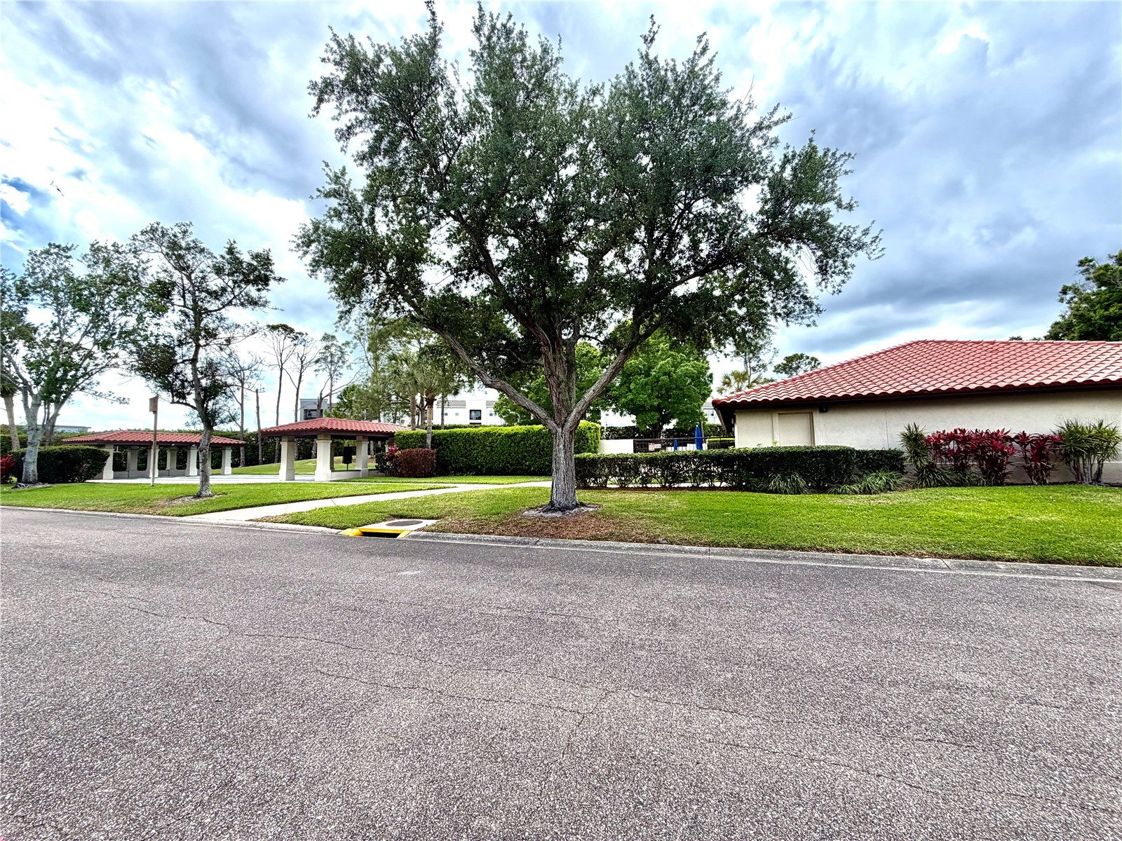 8805 41st Way N Pinellas Park FL 33782 TB8492218 image50