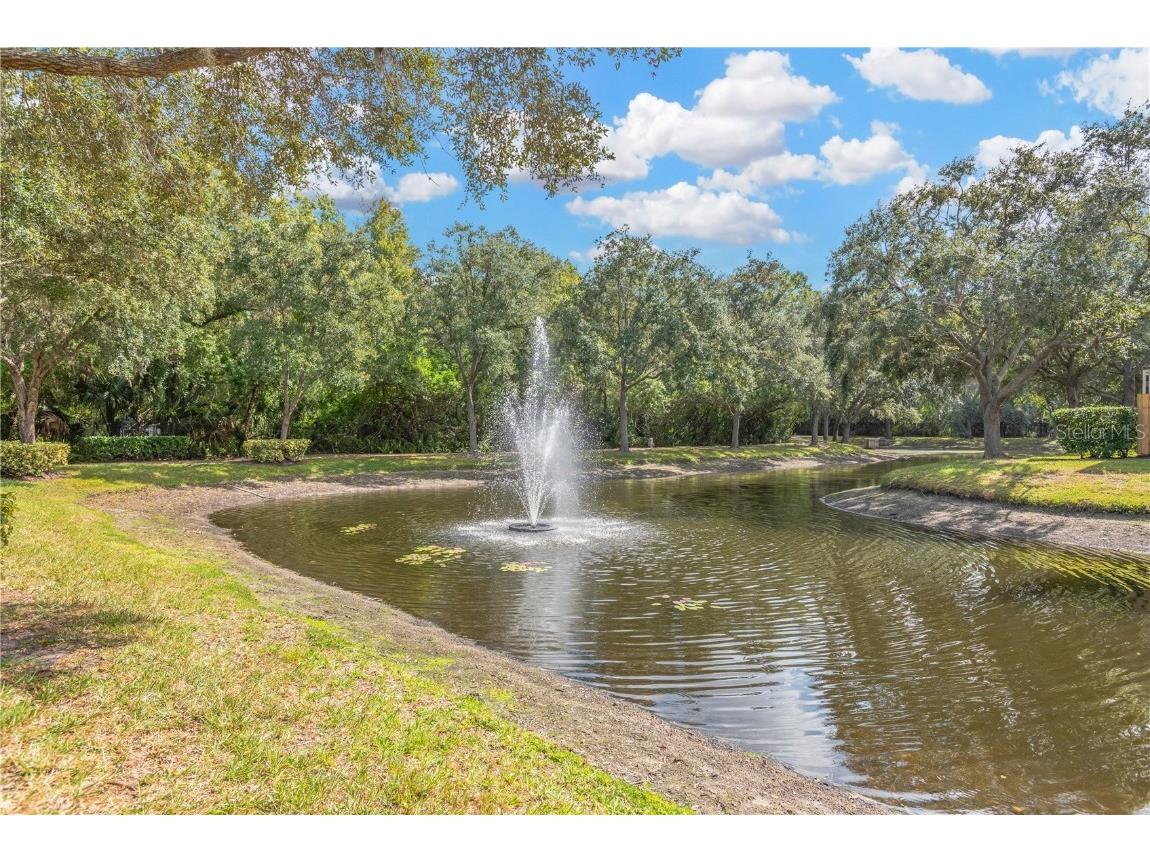 8805 Casablanca Way Tampa FL 33626 TB8440799 image26