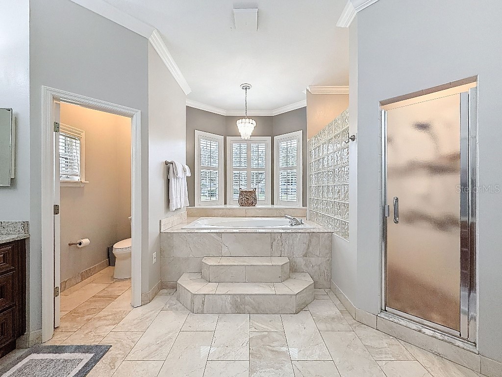 8805 Crosswood Court Riverview FL 33578 TB8457732 image37