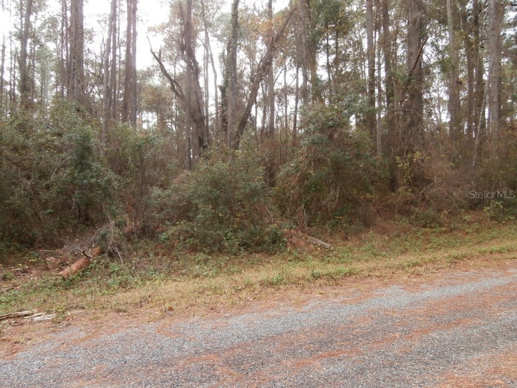 8805 N Ramble Pt Citrus Springs FL 34434 OM631220 image1