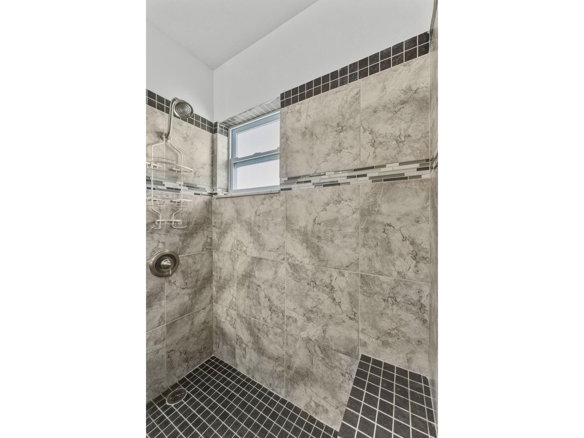 8806 Bay Pointe Drive #206 Tampa FL 33615 TB8464078 image20