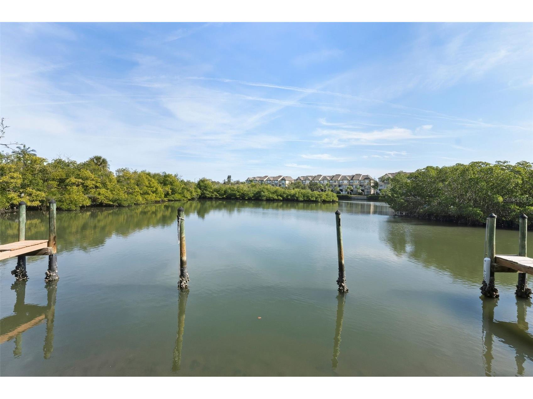 8806 Bay Pointe Drive #206 Tampa FL 33615 TB8464078 image28
