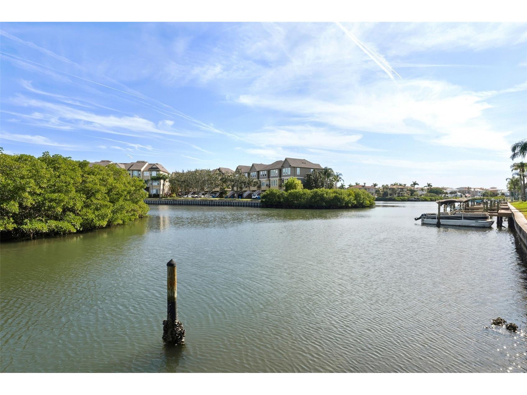 8806 Bay Pointe Drive #206 Tampa FL 33615 TB8464078 image29