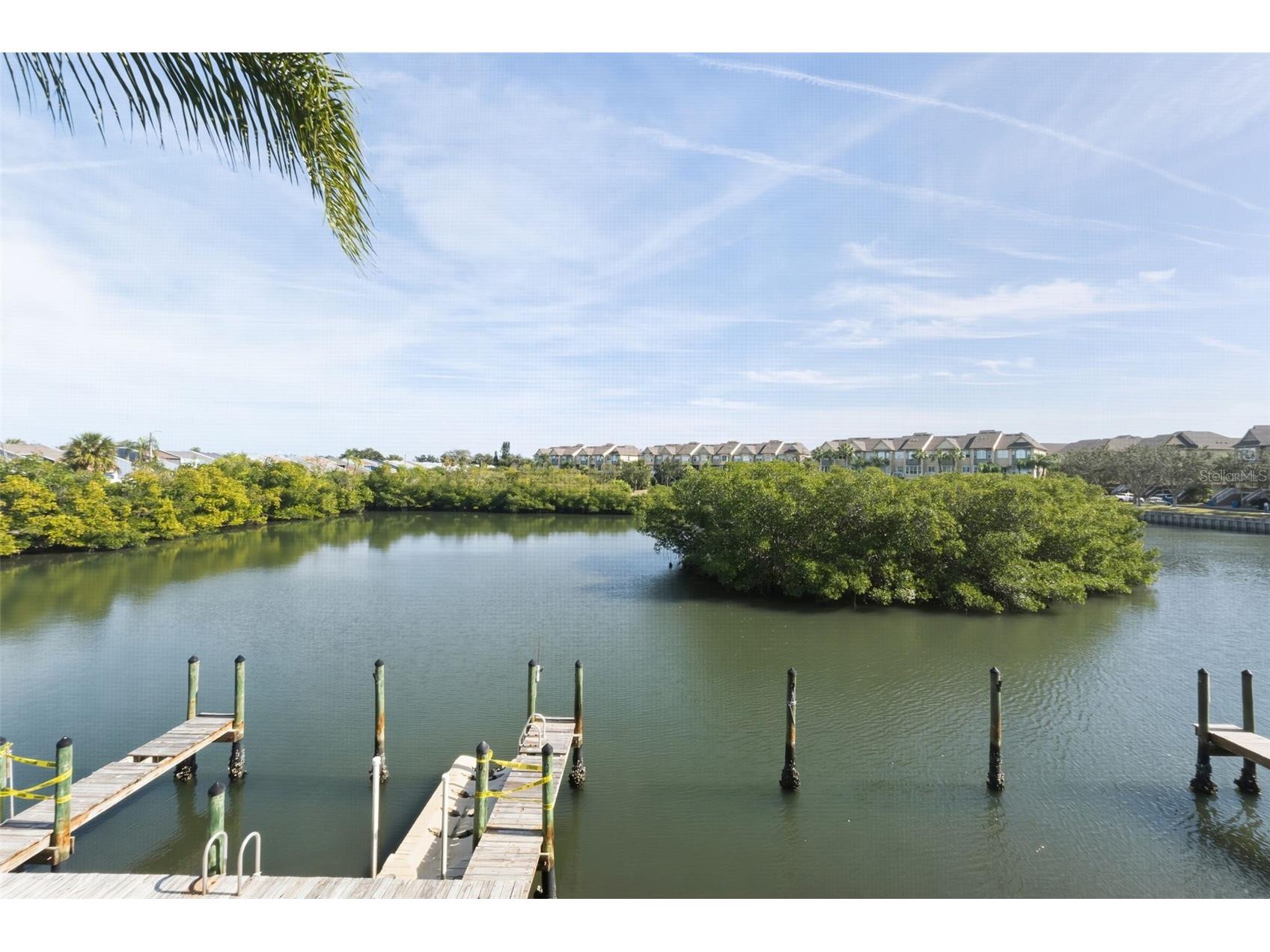 8806 Bay Pointe Drive #206 Tampa FL 33615 TB8464078 image4