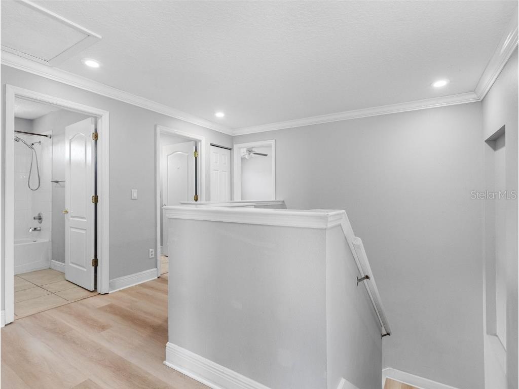 8806 Bayaud Drive Tampa FL 33626 TB8394686 image19