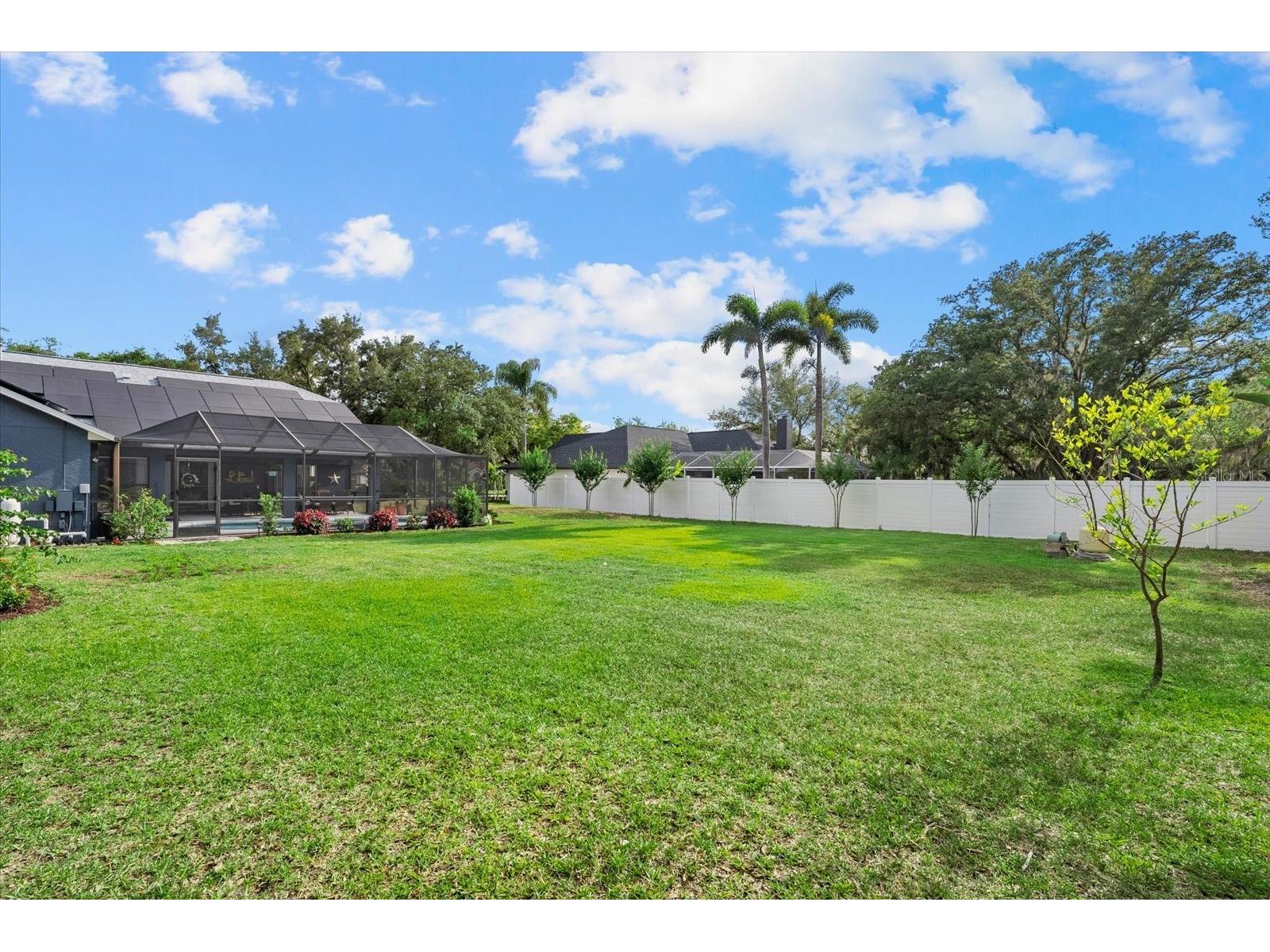 8806 Crosswood Court Riverview FL 33578 - ALAFIA RIVER TB8504796 image39