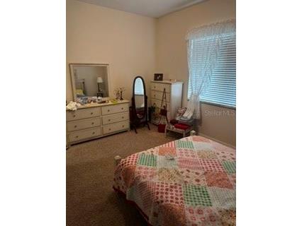 8806 Cypress Hammock Drive Tampa FL 33614 TB8524883 image17