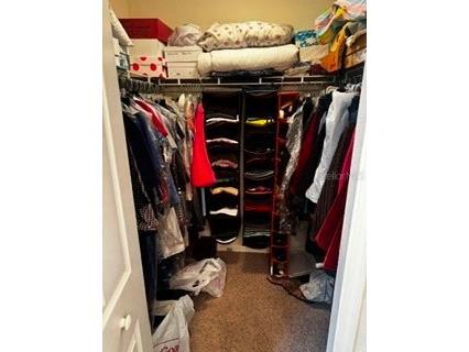 8806 Cypress Hammock Drive Tampa FL 33614 TB8524883 image22