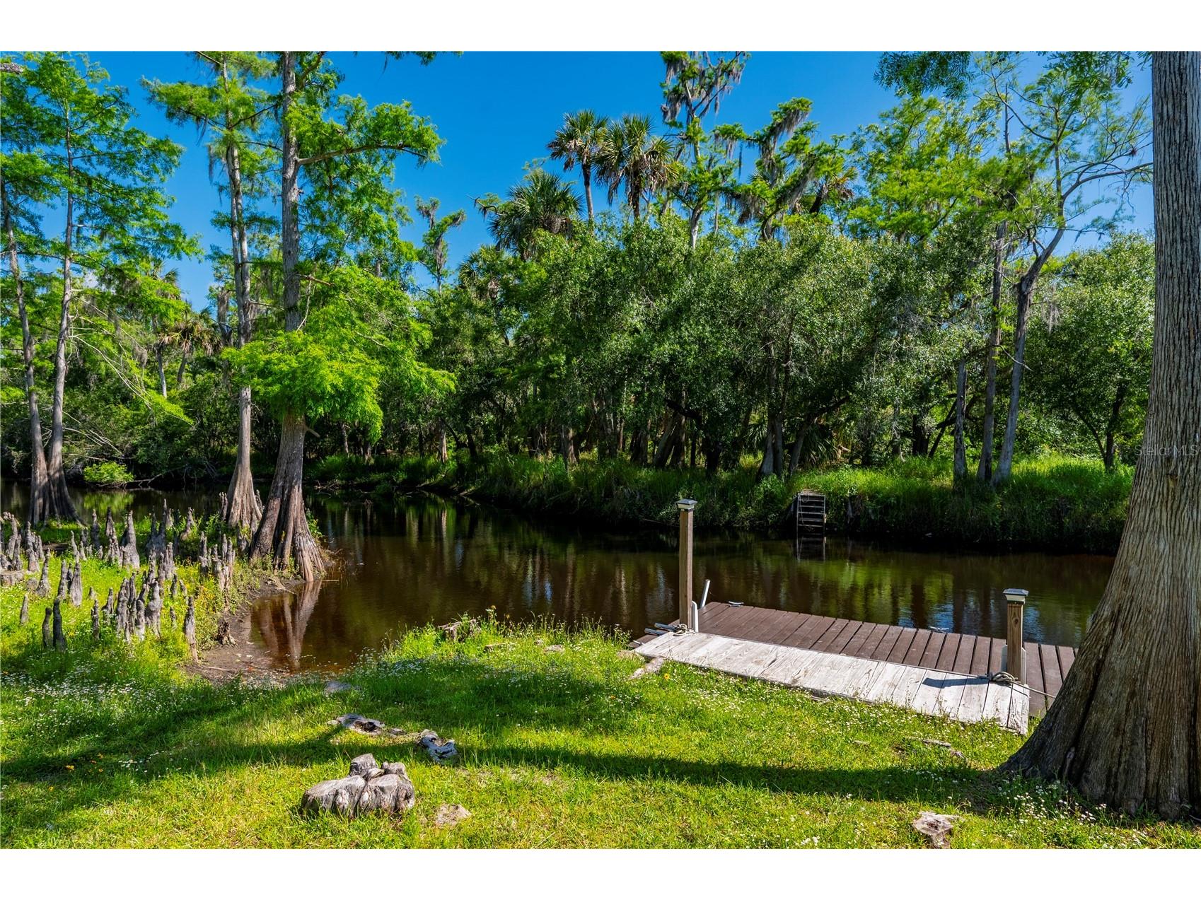 8806 SW Start Center Street Arcadia FL 34269 TB8502793 image79
