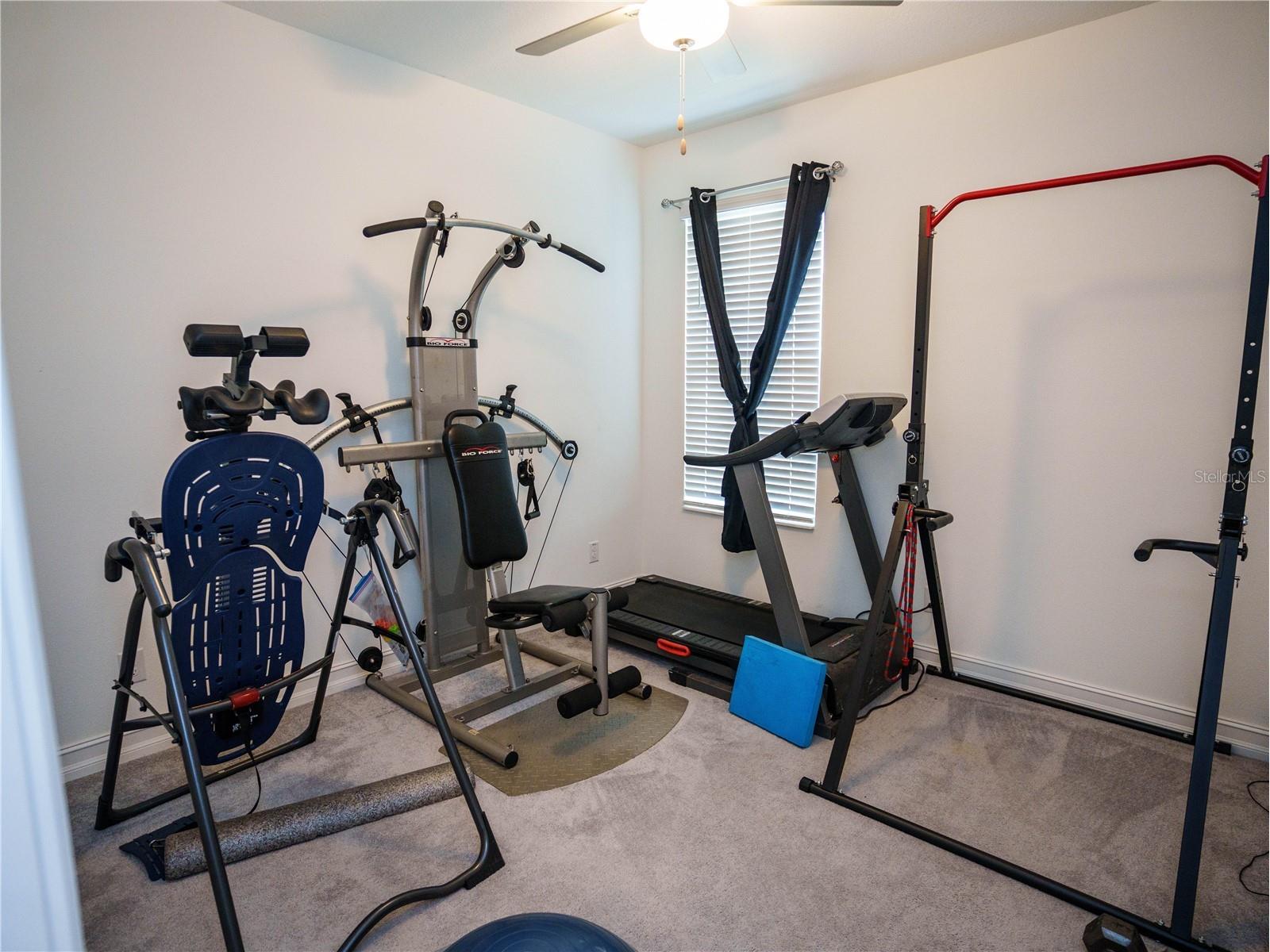 8807 Capstone Ranch Drive New Port Richey FL 34655 W7884648 image20