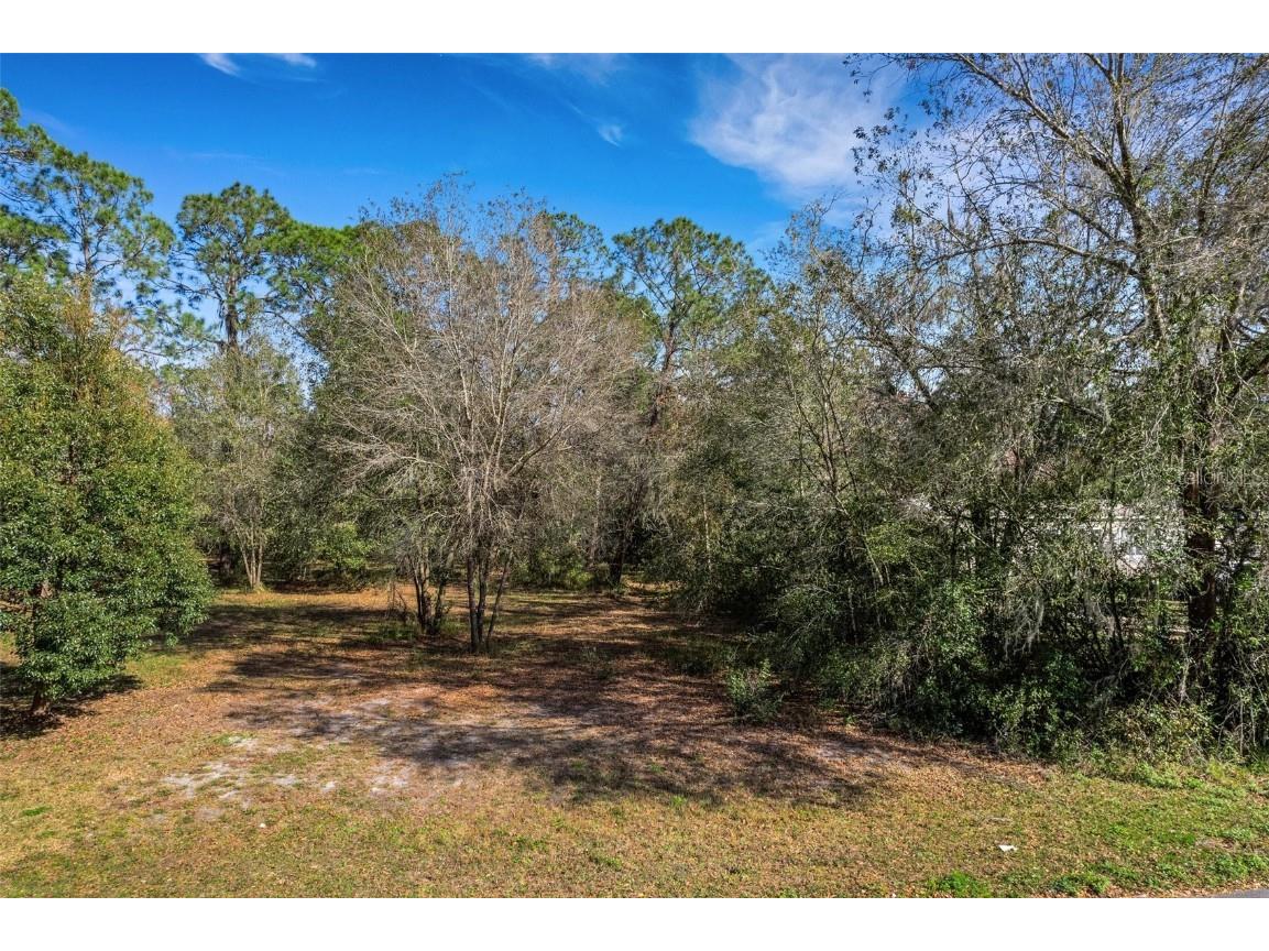8807 Carrolwood Drive Lakeland FL 33810 L4942500 image1