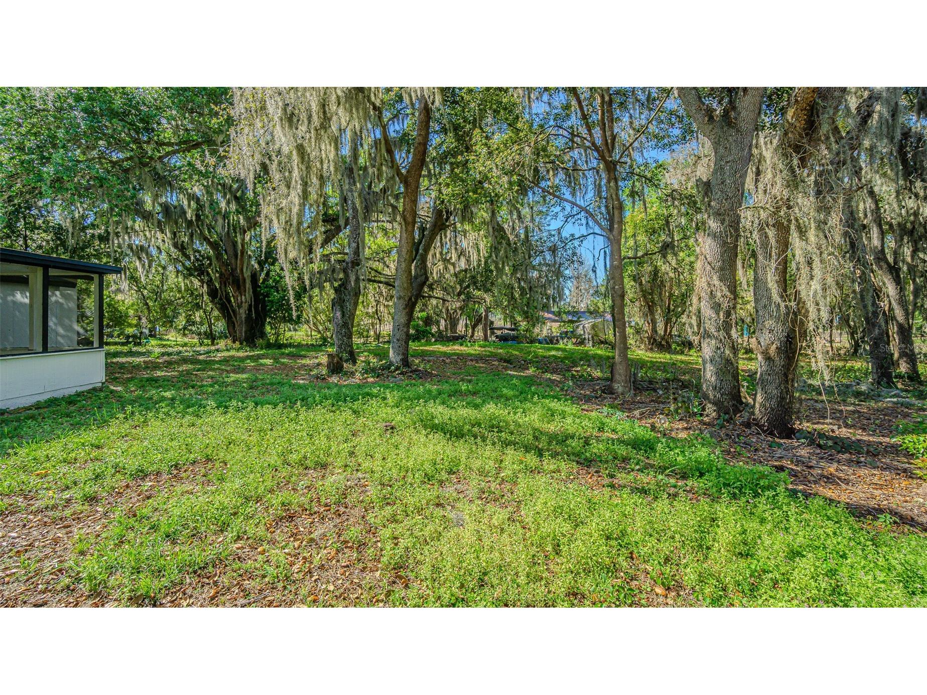 8807 Overlook Drive Wesley Chapel FL 33545 TB8491668 image45