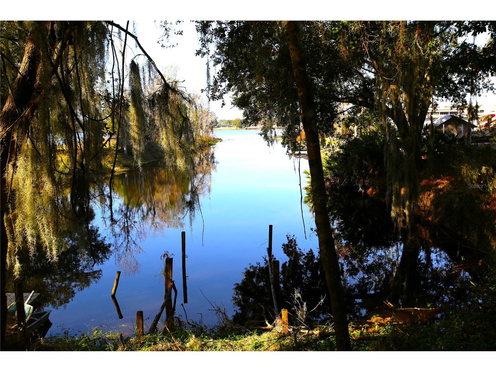 8807 Overlook Drive Wesley Chapel FL 33545 TB8525661 image5