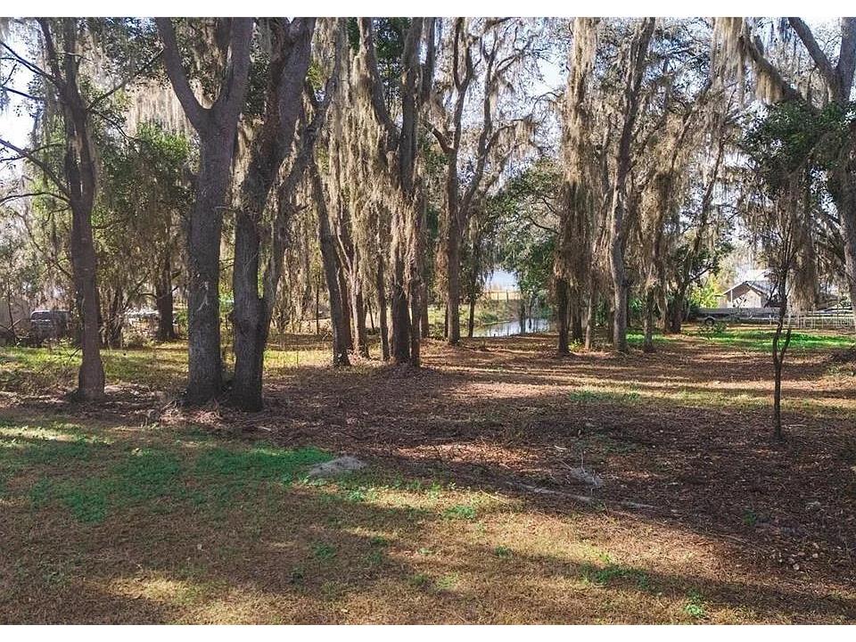 8807 Overlook Drive Wesley Chapel FL 33545 TB8525661 image6