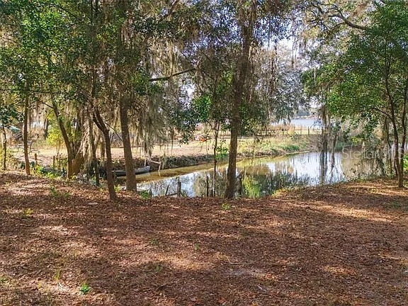 8807 Overlook Drive Wesley Chapel FL 33545 TB8525661 image7