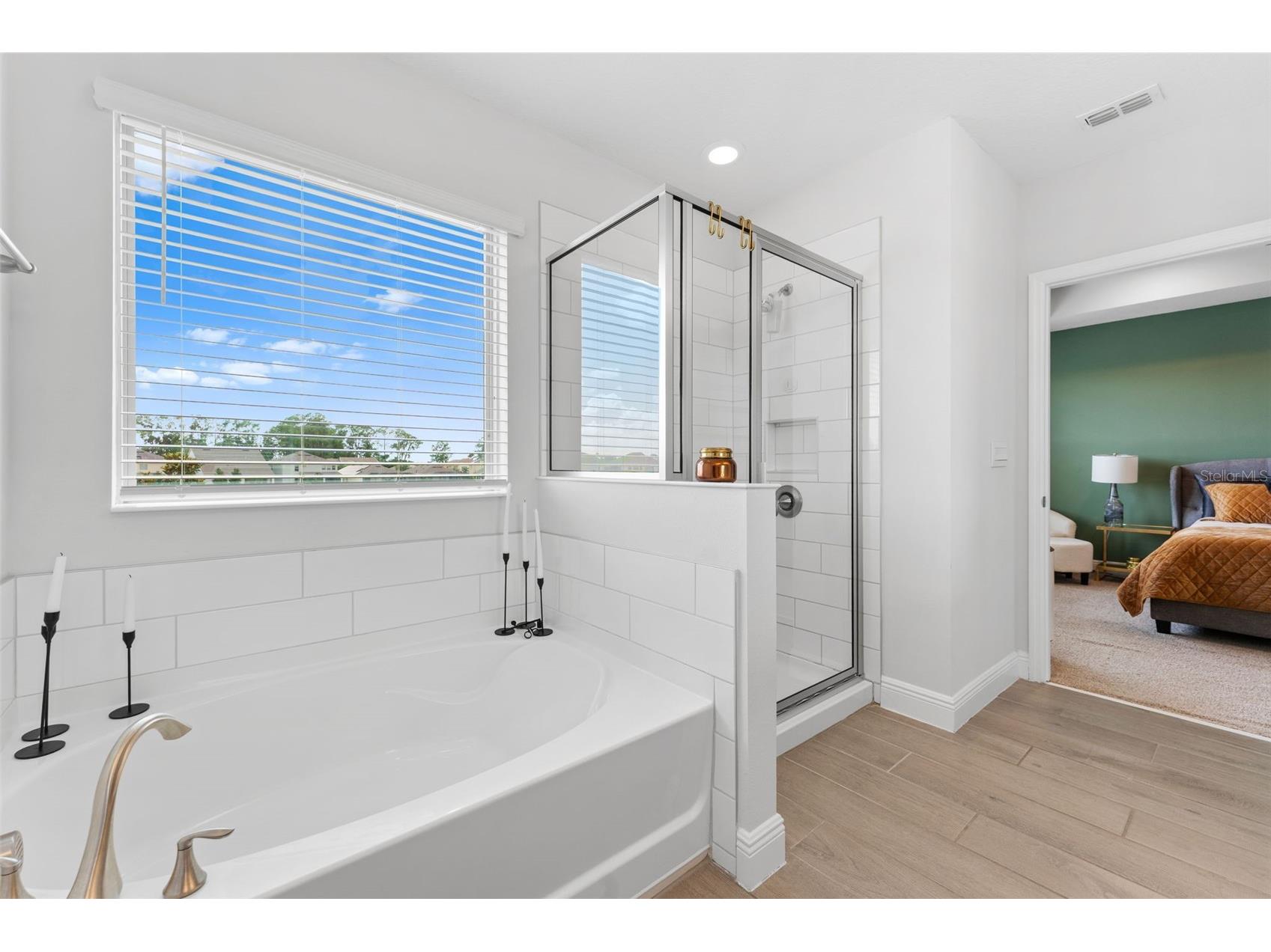 8807 Sonoma Coast Drive Winter Garden FL 34787 O6419920 image11