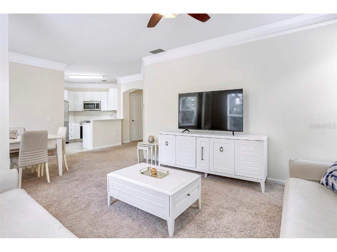 8807 Villa View Circle #2 Orlando FL 32821 O6298358 image14