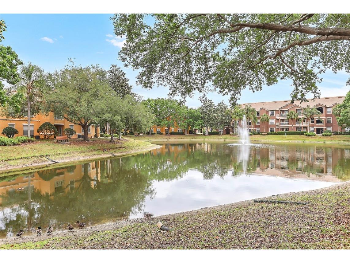 8807 Villa View Circle #2 Orlando FL 32821 O6298358 image31