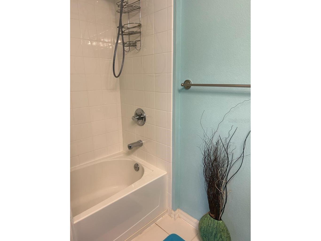 8807 White Sage Loop Lakewood Ranch FL 34202 A4685974 image14