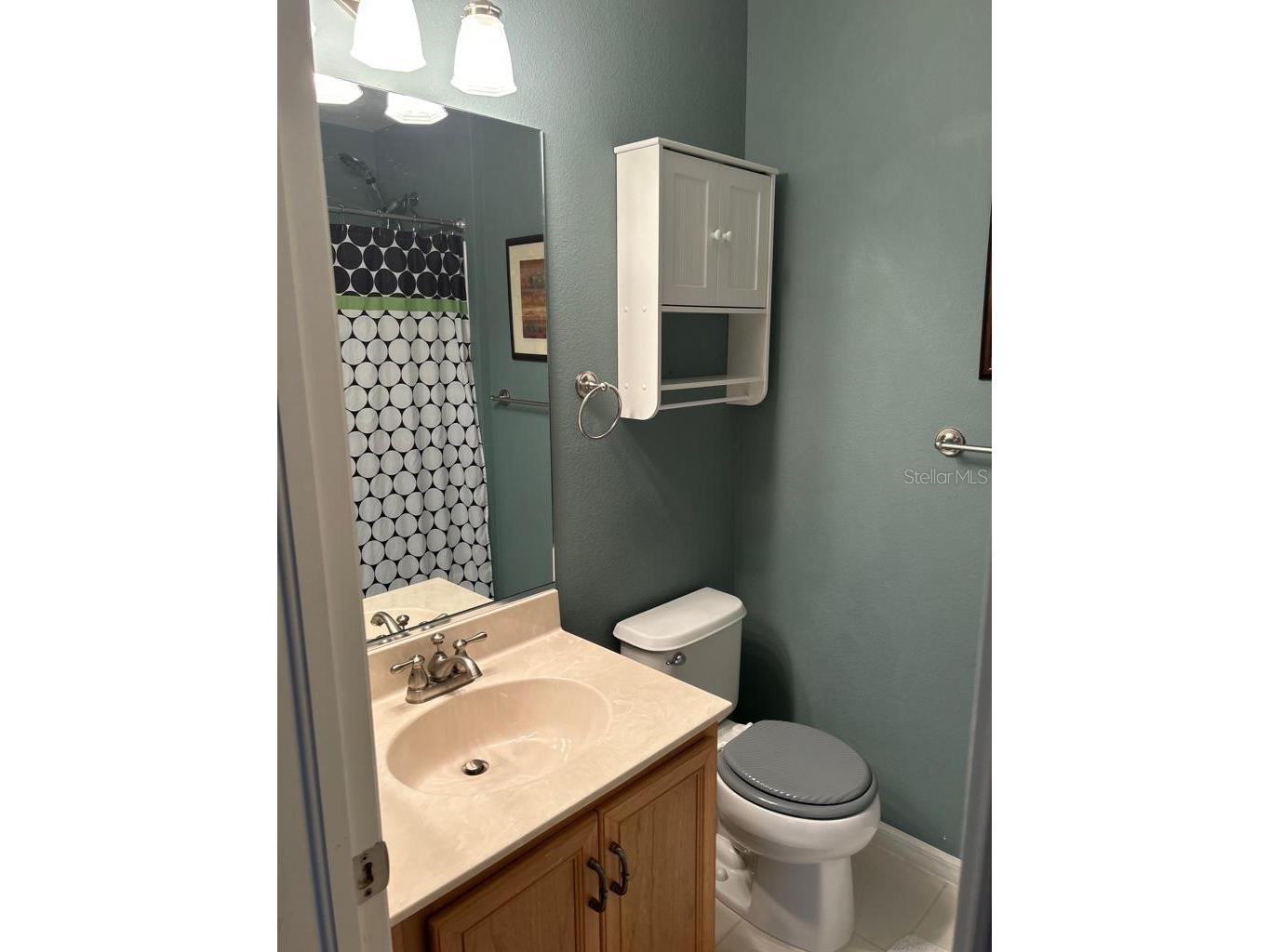 8807 White Sage Loop Lakewood Ranch FL 34202 A4685974 image16