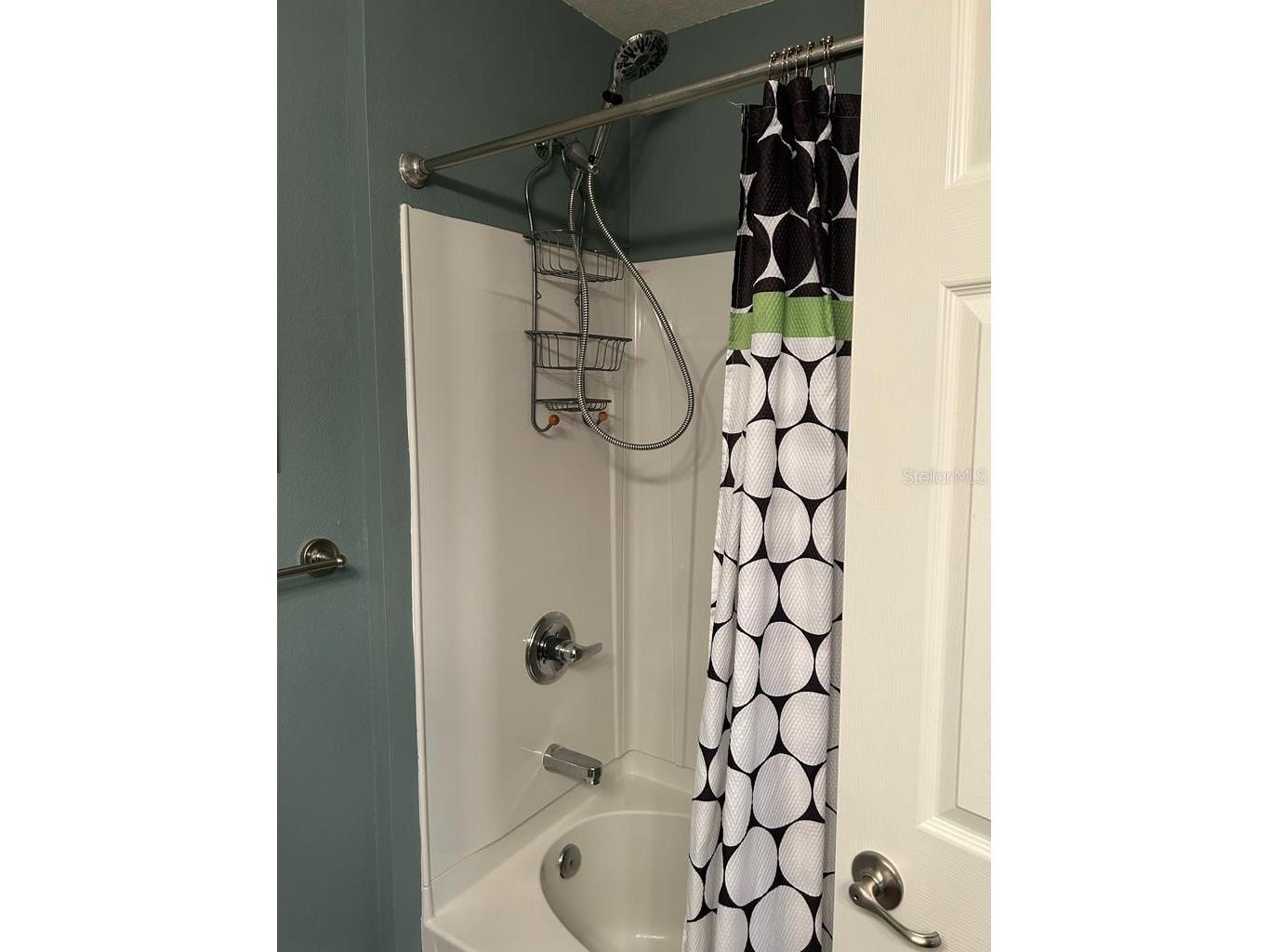8807 White Sage Loop Lakewood Ranch FL 34202 A4685974 image17