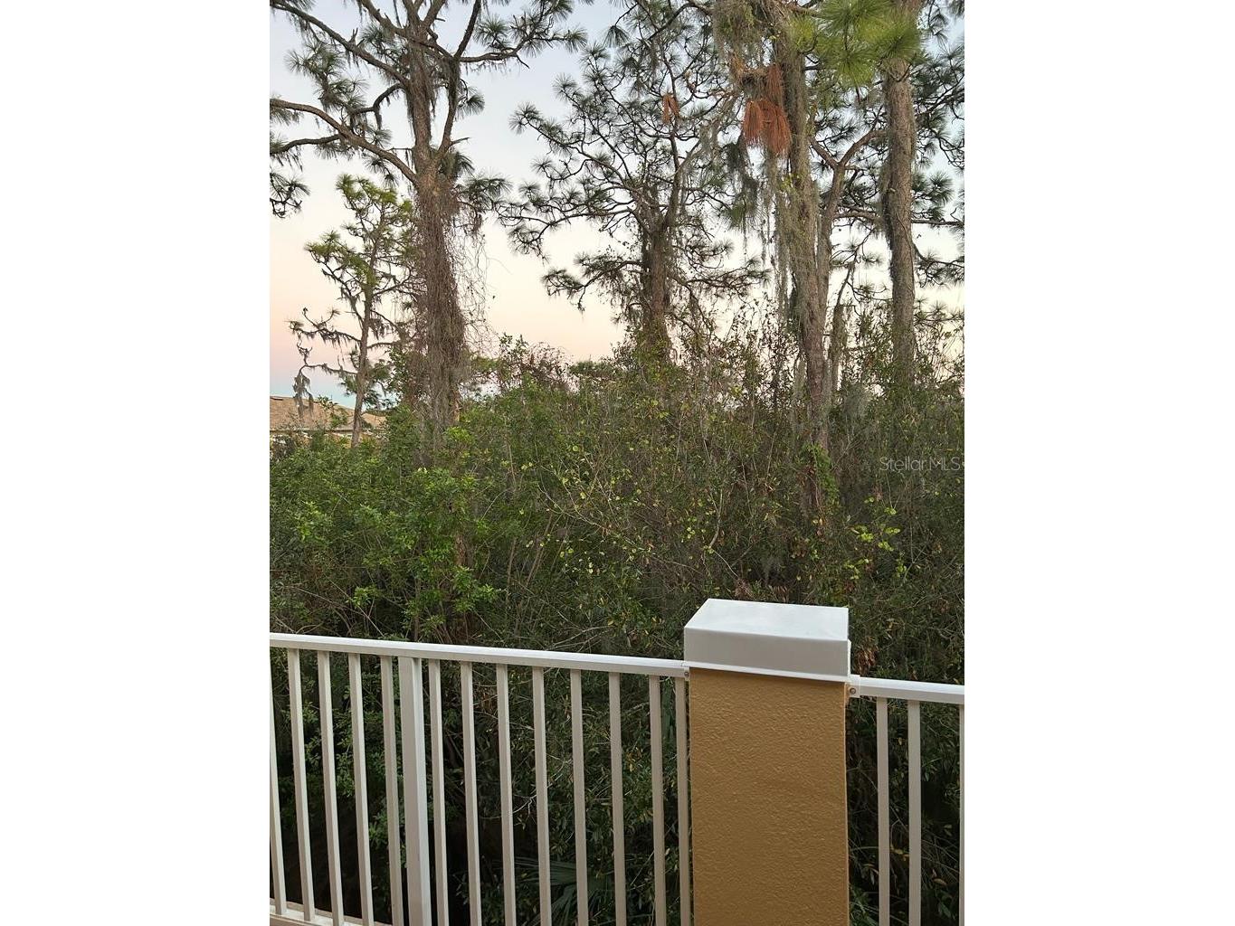 8807 White Sage Loop Lakewood Ranch FL 34202 A4685974 image20