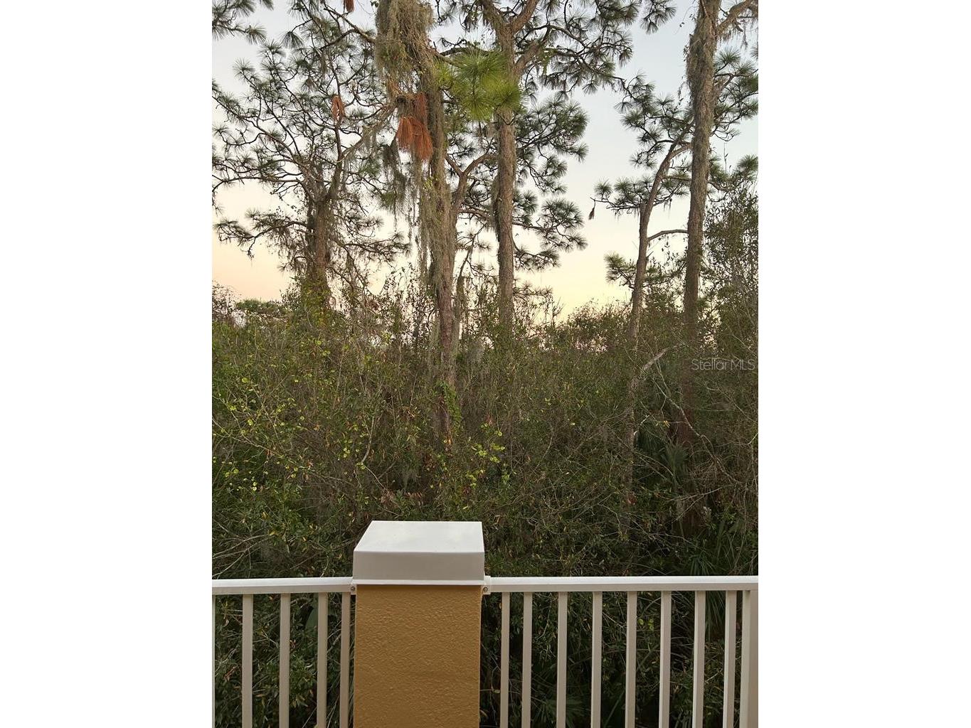 8807 White Sage Loop Lakewood Ranch FL 34202 A4685974 image4