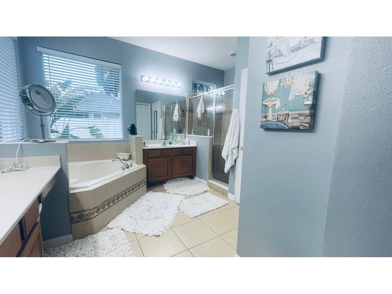 8808 Abbey Leaf Lane Orlando FL 32827 O6347072 image16