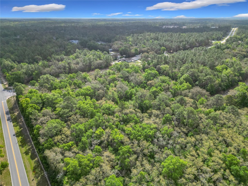 8808 N Deltona Boulevard Citrus Springs FL 34434 OM698496 image11