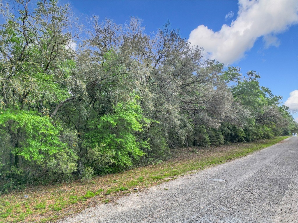 8808 N Deltona Boulevard Citrus Springs FL 34434 OM698496 image12