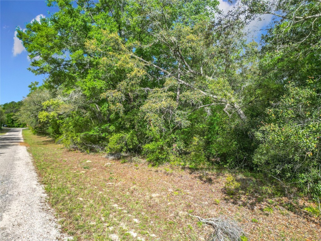 8808 N Deltona Boulevard Citrus Springs FL 34434 OM698496 image13