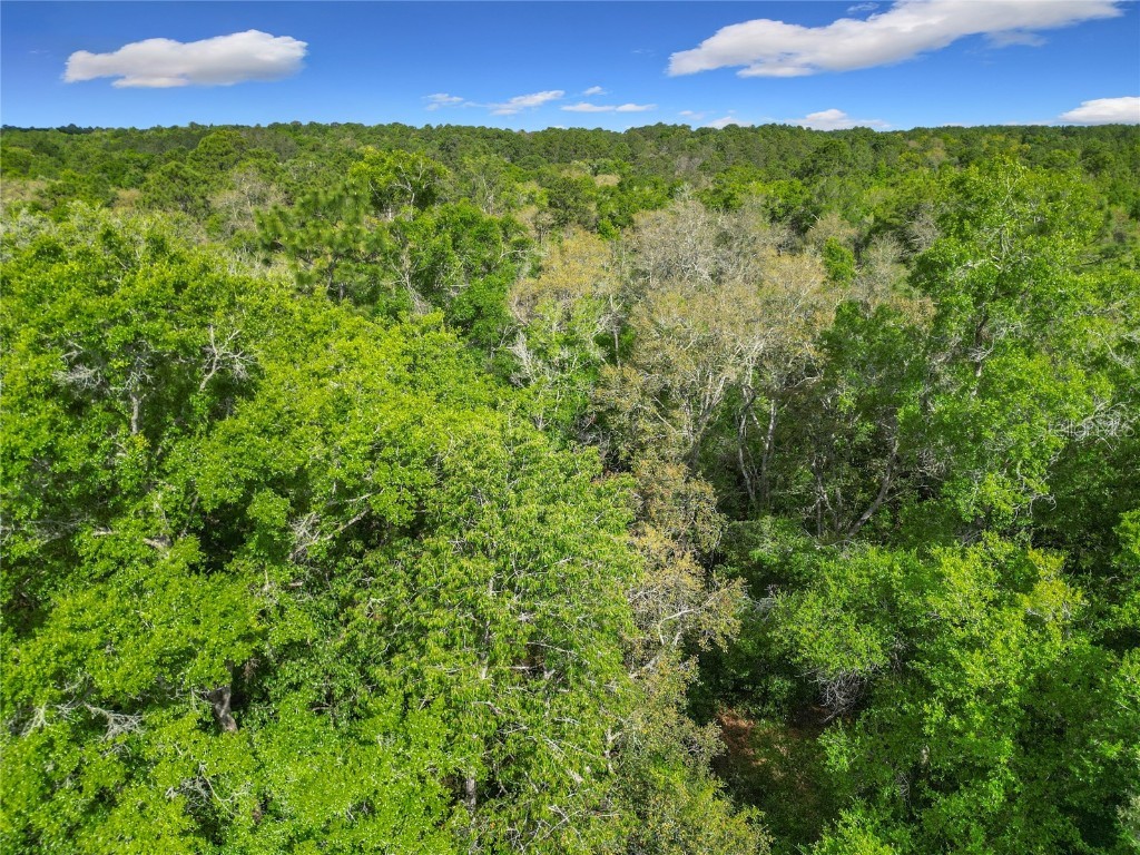 8808 N Deltona Boulevard Citrus Springs FL 34434 OM698496 image14