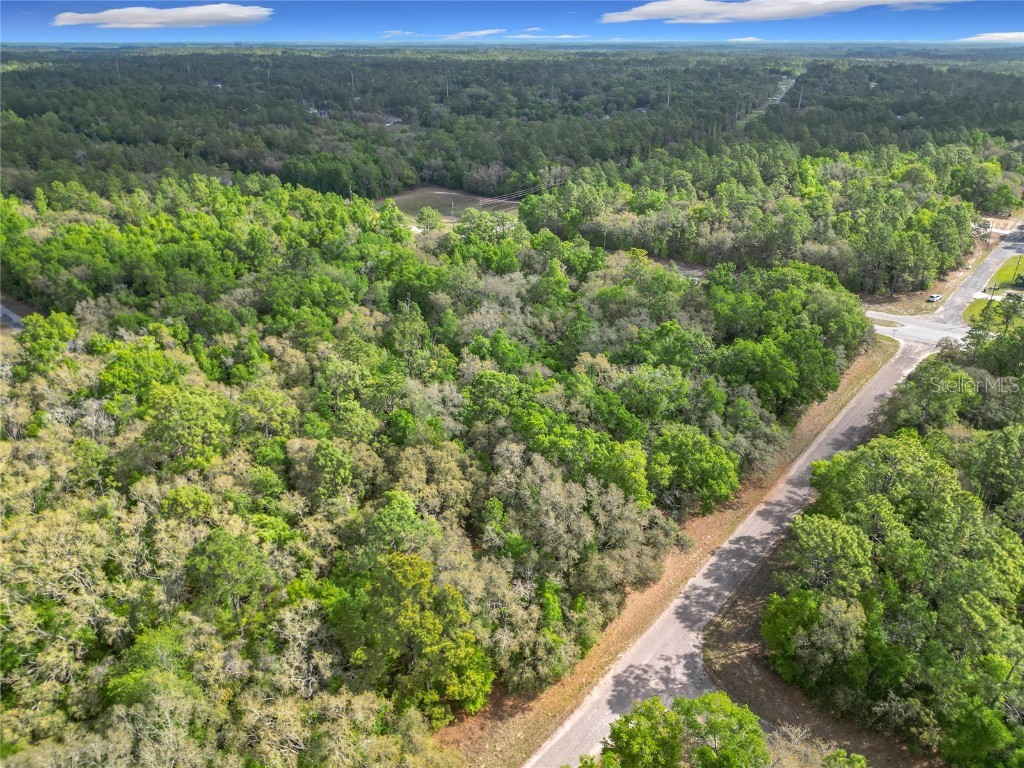 8808 N Deltona Boulevard Citrus Springs FL 34434 OM698496 image15