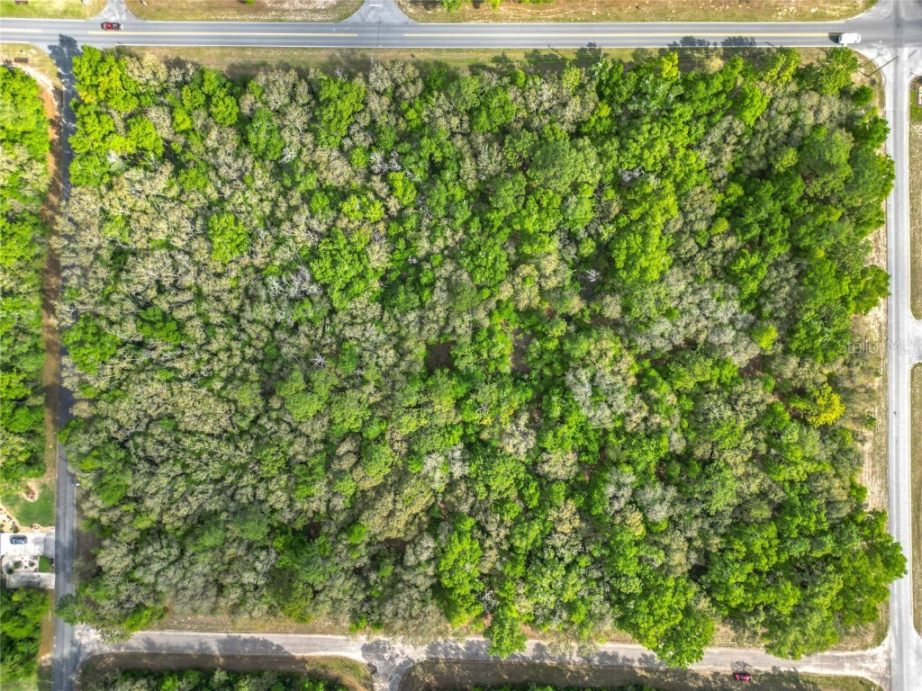 8808 N Deltona Boulevard Citrus Springs FL 34434 OM698496 image16