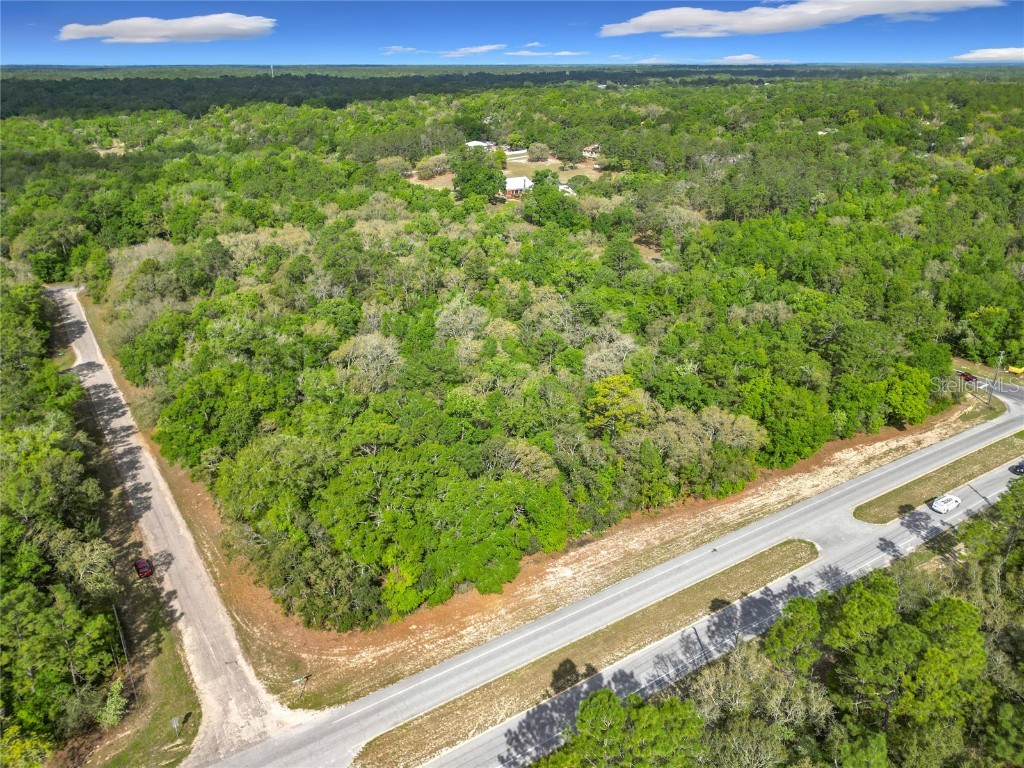 8808 N Deltona Boulevard Citrus Springs FL 34434 OM698496 image17