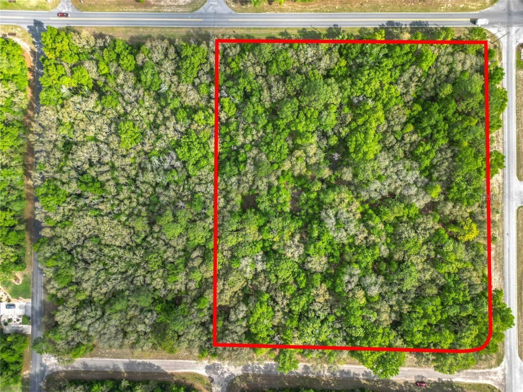 8808 N Deltona Boulevard Citrus Springs FL 34434 OM698496 image3