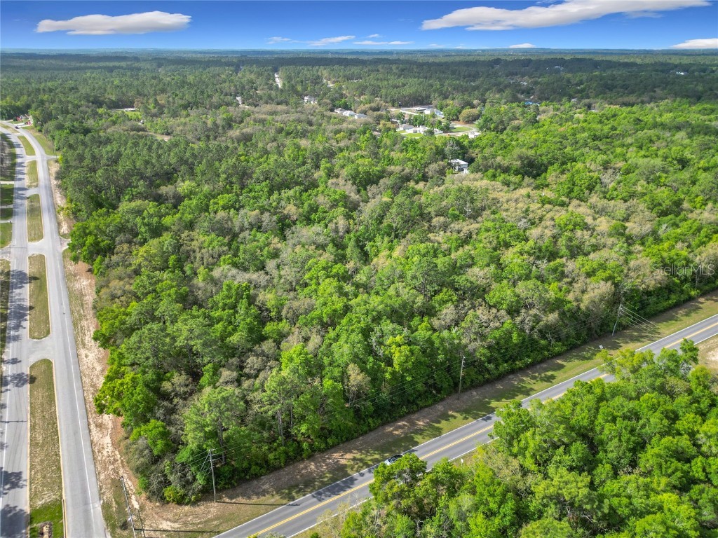 8808 N Deltona Boulevard Citrus Springs FL 34434 OM698496 image8