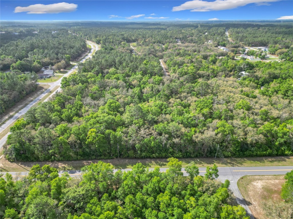 8808 N Deltona Boulevard Citrus Springs FL 34434 OM698496 image9