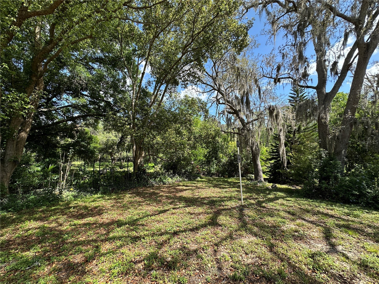 8809 Avondale Lane Hudson FL 34667 W7884547 image30