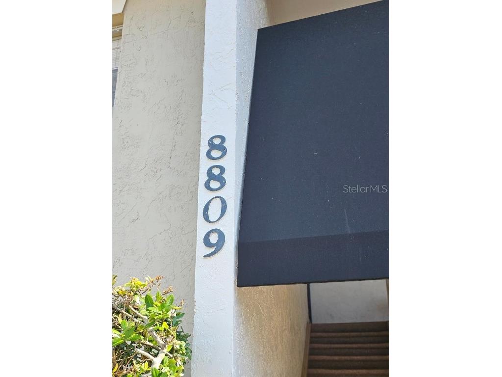 8809 Bay Pointe Drive #A109 Tampa FL 33615 - TAMPA BAY T3450245 image1