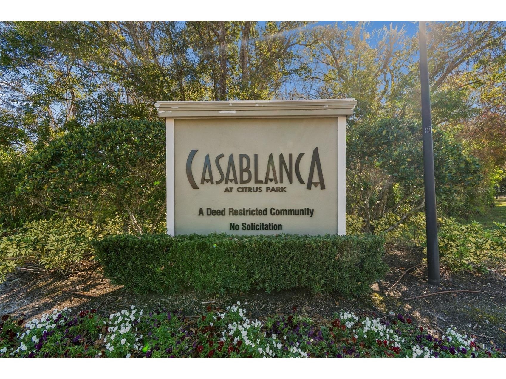 8809 Casablanca Way Tampa FL 33626 TB8470142 image46