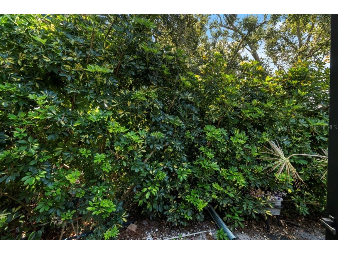 8809 Havenridge Drive Sarasota FL 34238 A4661730 image57