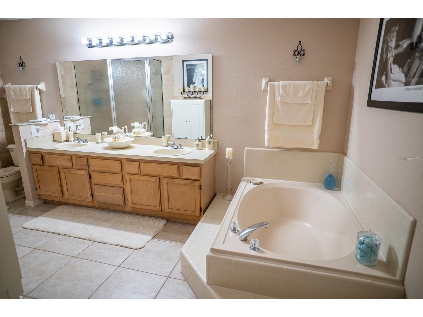 8809 Hunting Bow Court Orlando FL 32829 O6396816 image14