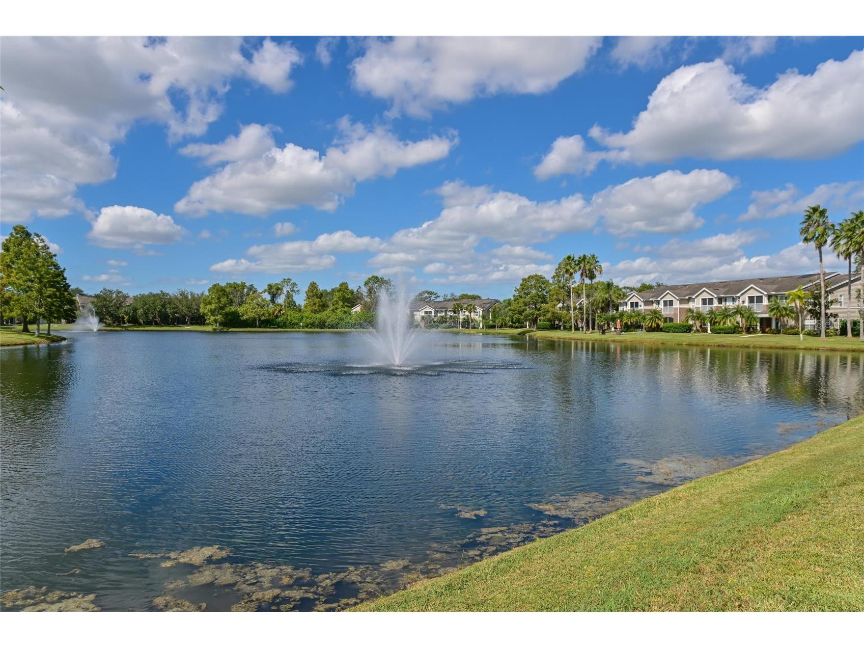 8809 Manor Loop #106 Lakewood Ranch FL 34202 A4668632 image21