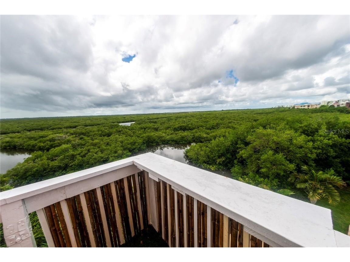 881 Catfish Avenue New Smyrna Beach FL 32169 - MOSQUITO LAGOON S5136626 image60