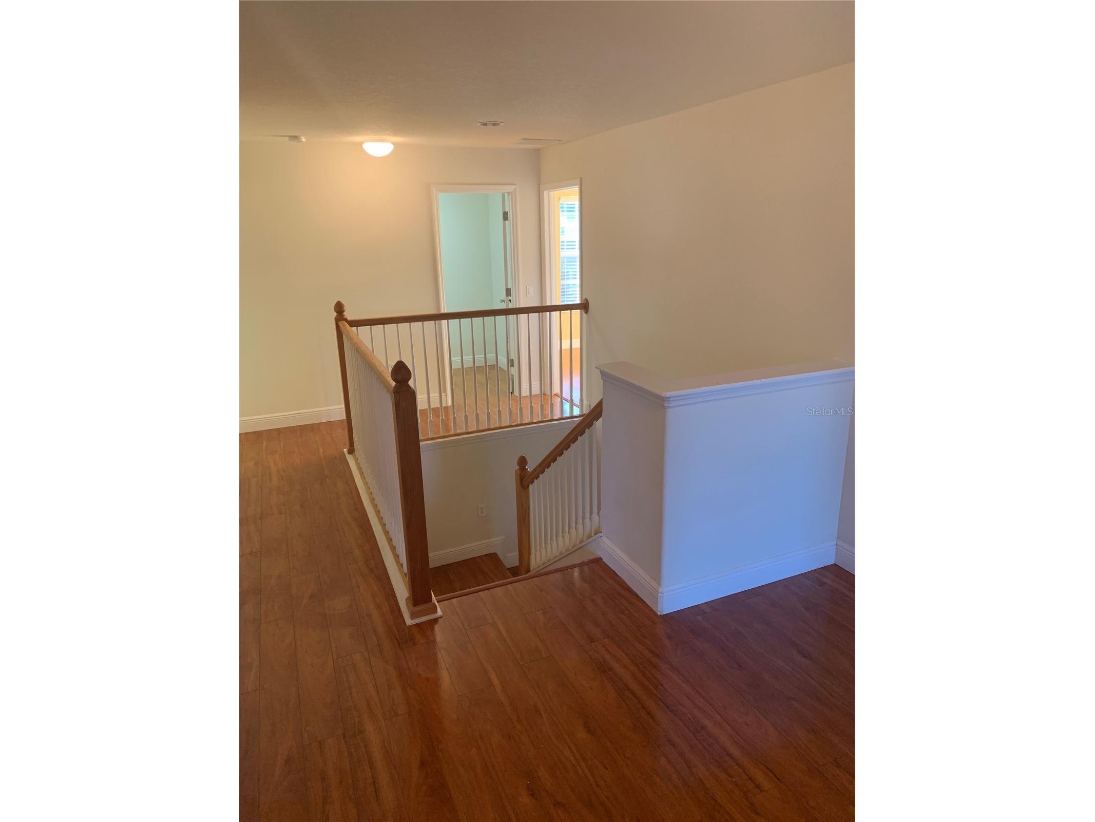 8810 Cameron Crest Drive Tampa FL 33626 TB8475286 image30