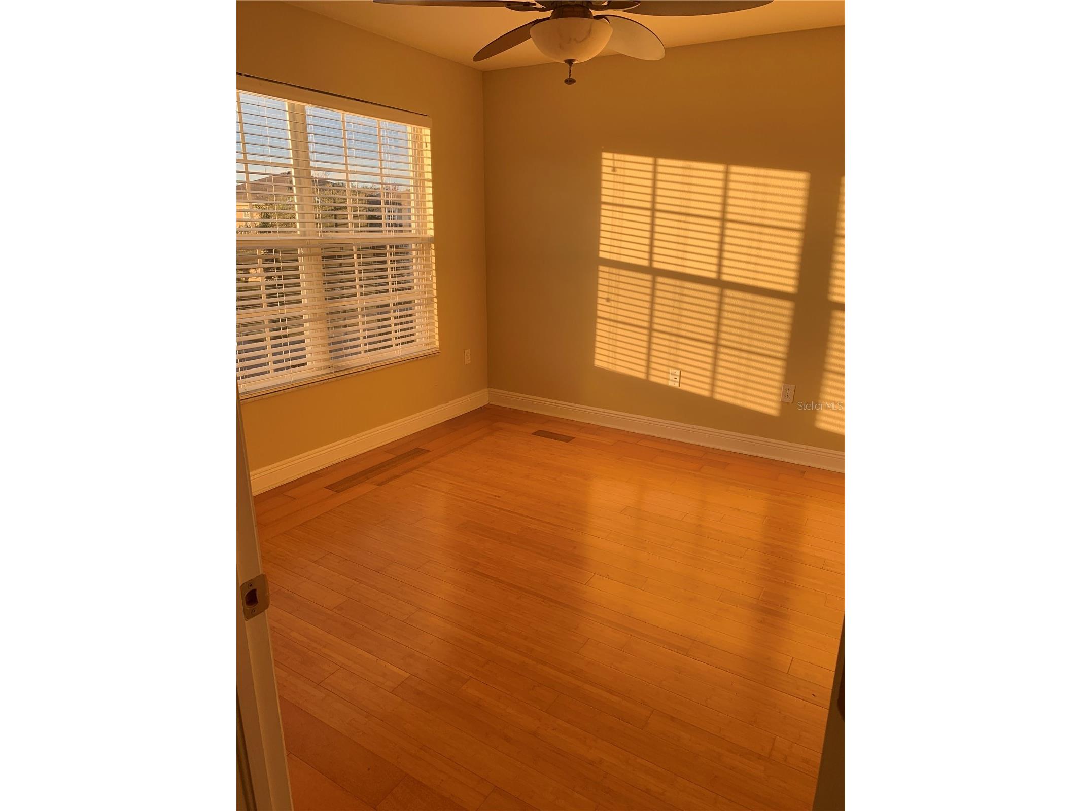 8810 Cameron Crest Drive Tampa FL 33626 TB8475286 image31